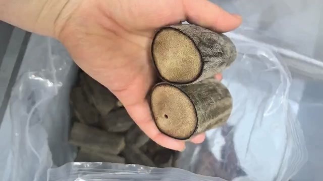 长春长白山特产梅花鹿干鹿茸中段