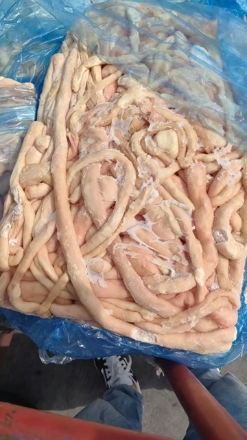 羊肠，肥肠盘肠，干净，无水，
