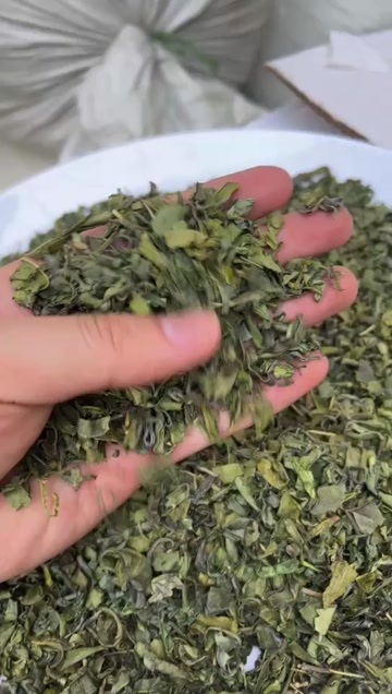 松阳县茶春茶片子