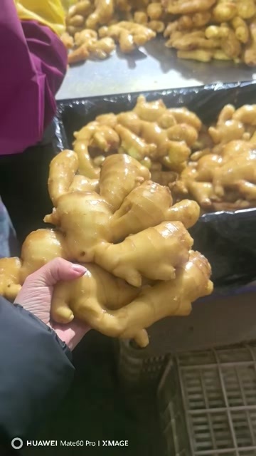 莒县姜农手里拿货，一手货源，价格便宜很多