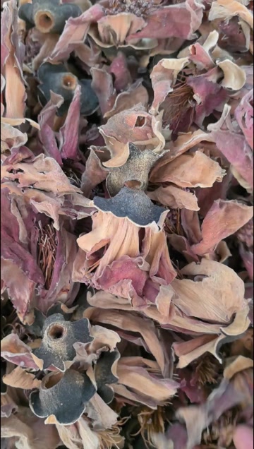 木棉花中药材 无硫干货广东凉茶煲汤