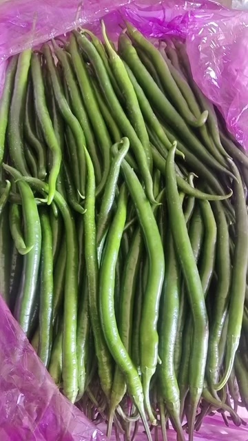 乐亭县通过，精品大量现货