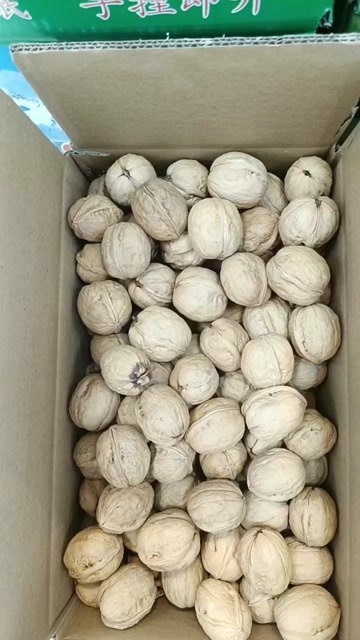 乌鲁木齐新疆高品质纸皮核桃5斤阿克苏185薄皮核桃批发
