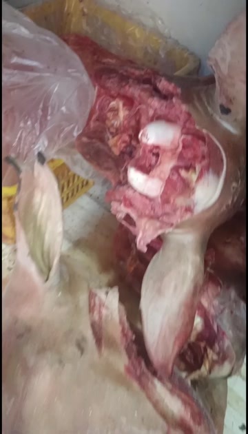 郑州新鲜带皮头