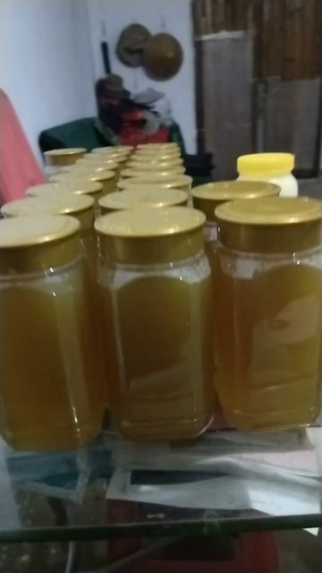 肥东县25年中蜂蜜，天然！