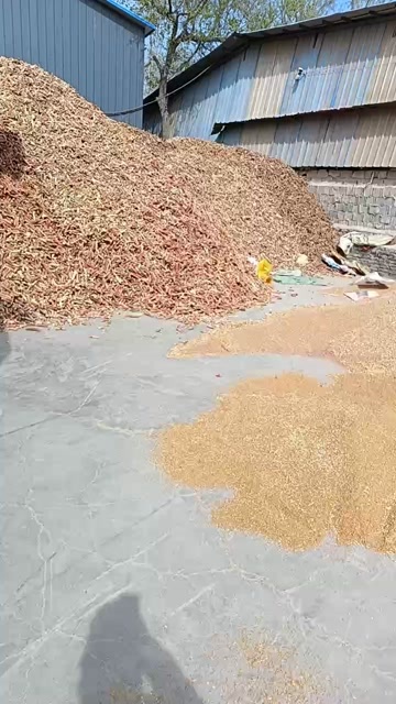 东平县玉米芯