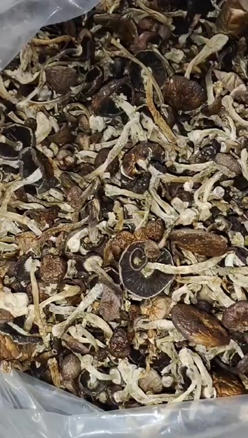 赤松茸，球蓋菇干貨量大優(yōu)惠質(zhì)量保證