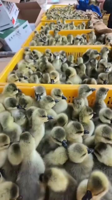 沭阳县准备出发喽
