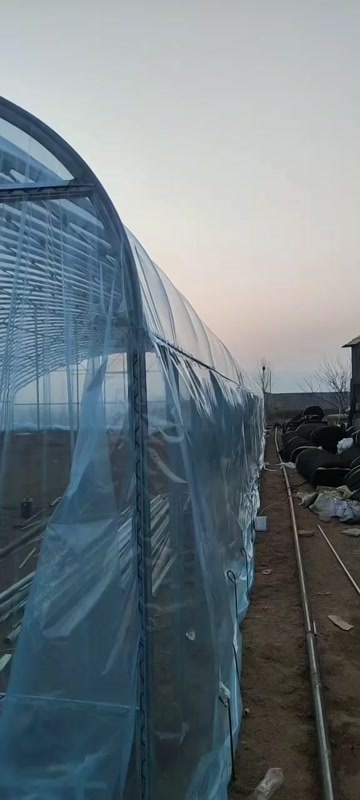 无锡大棚薄膜 蔬菜大棚塑料薄膜 养殖大棚黑白膜 绿白膜 蘑菇大棚