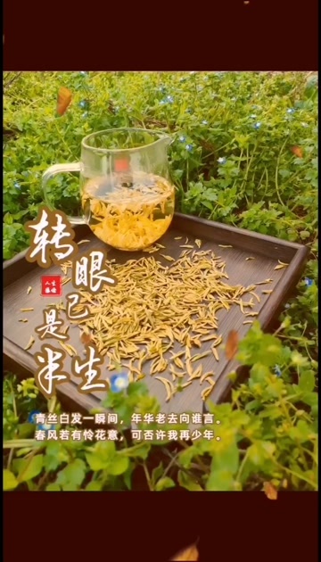 余庆县安吉白茶
