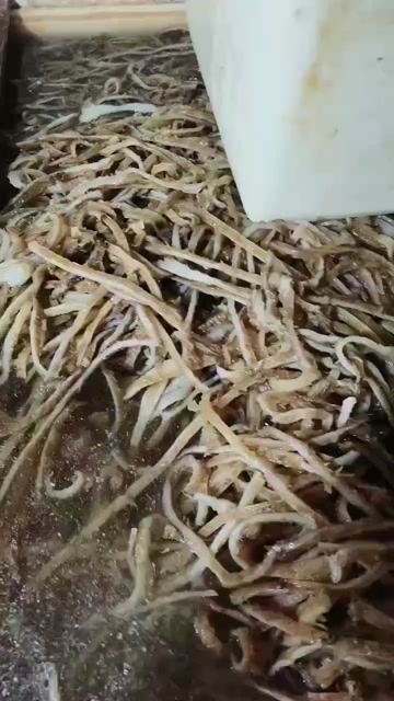 地板丝