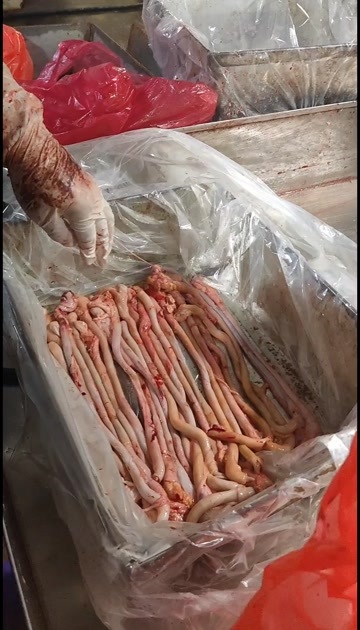吉林市东北大猪猪鞭 心管 长尾  尿管  小肚  花肠根  红肠