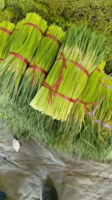 大名县红帽蒜苔代收代发全国