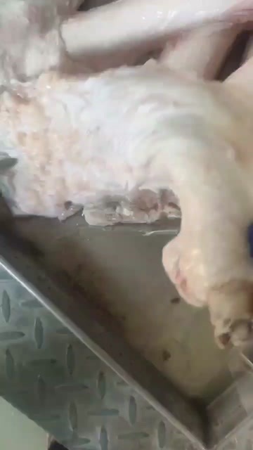 阳信县牛蹄筋