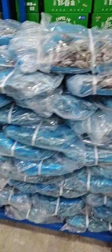 济南多春鱼 残体