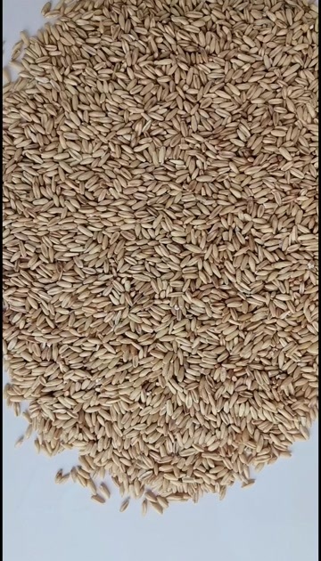绥芬河市俄罗斯的燕麦米