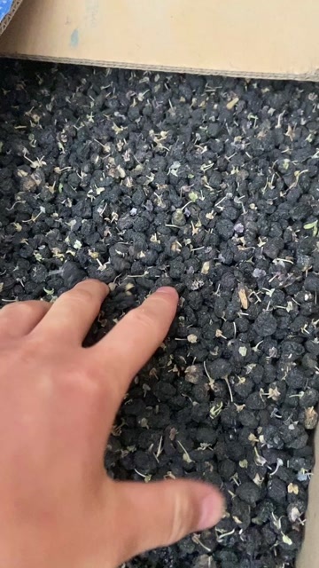 玉门市甘肃酒泉发货      产地新疆  黑枸杞中牛头果  优品