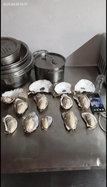 大连大连生蚝三倍体薄壳泥货
