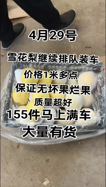 赵县框装二级皇冠梨25元-28元每件质量口感甜