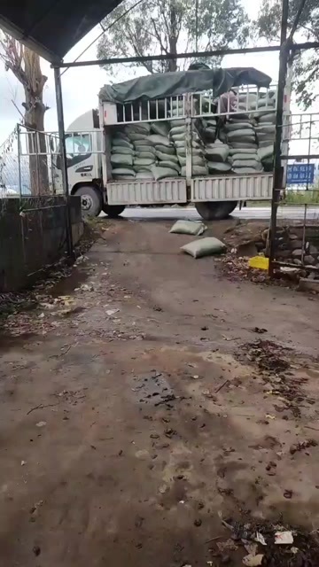 寻甸县西昌客户采购天然林下腐殖土适合葡萄地调解酸碱度土壤板结