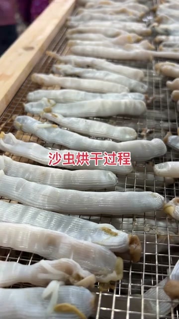 北海北海沙虫加工过程