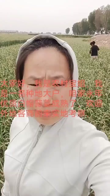邯郸白帽蒜薹