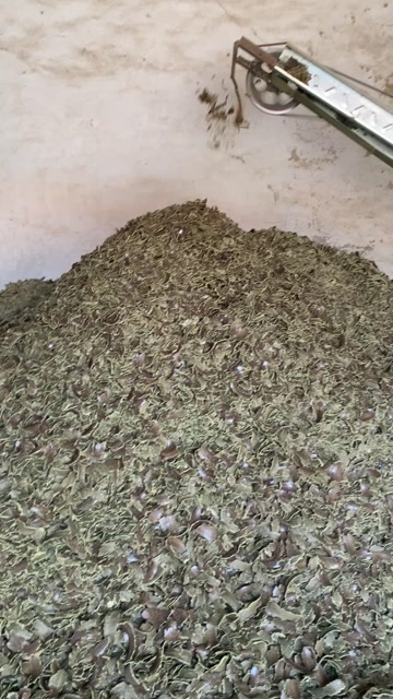 郓城县优质棉籽饼有机肥 批发供应 厂家直发 农作物增产好帮手