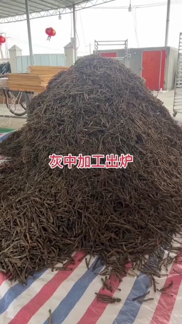北海广西北海灰沙虫 干净海产干货 高品质水产批发