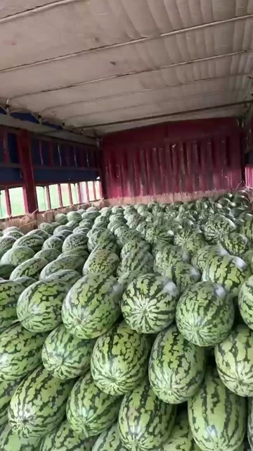 扶绥县绿爽西瓜，大量上市