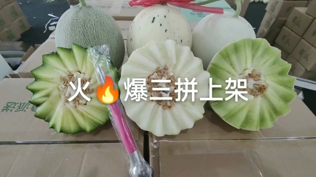 莘县火甜瓜三件套冰淇淋玉菇+玫珑网纹蜜瓜+蜜露流星甜瓜各一个