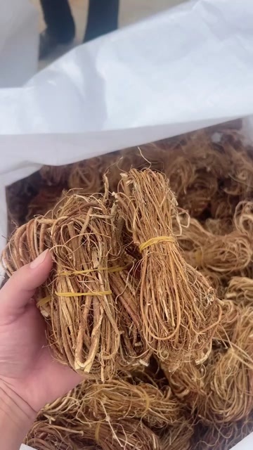 五指毛桃小扎把，无苞芯