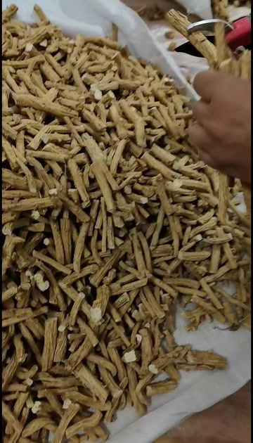 防风节子防风段防风大量批发