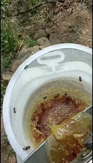 全州县百花蜜