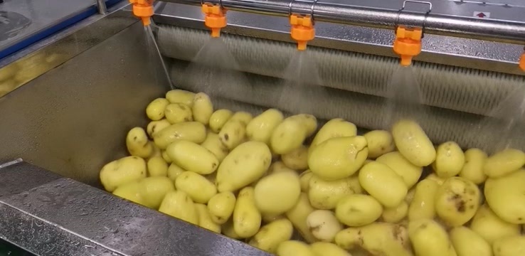 常州小型家用薯片线