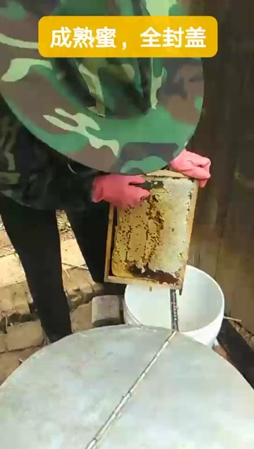 贵港农家土蜂蜜，成熟龙眼蜜