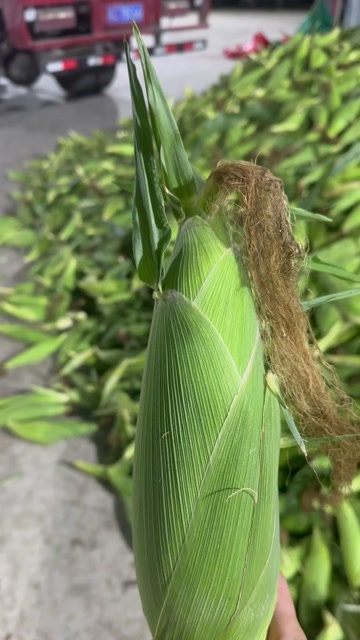 芜湖水果玉米