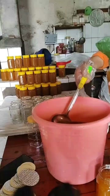 深山春季自产新鲜土蜂蜜