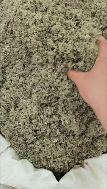 亳州茵陈 中药材茵陈