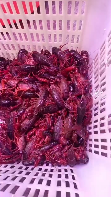 鄱阳县便宜，高质量