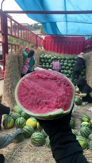 博白县西瓜