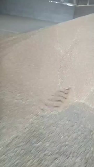 兴山县湖北新小麦