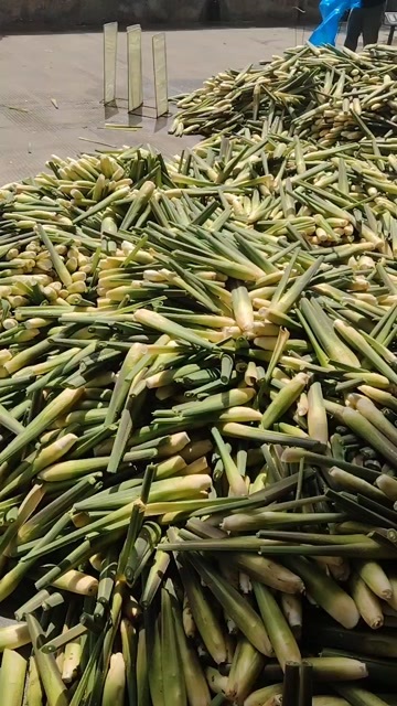 衢州茭白大量上市，精品电商持续有量供应