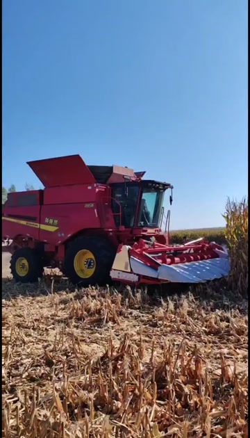 新疆石河子智能谷物收获机 农业收获高效机械