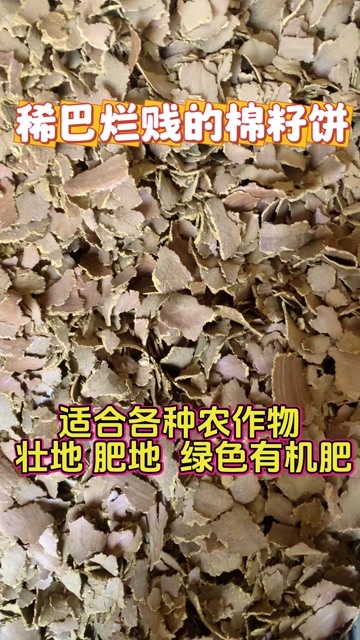 郓城县棉籽饼
