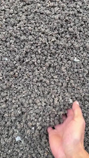 水洗三遍猫爪草，产地直发，干饱净，价格可详谈，量大重优