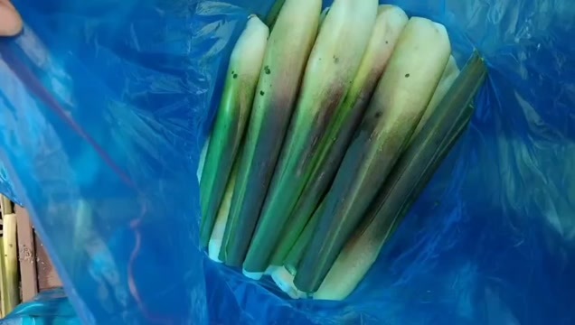 衢州电商茭白，一级茭白大量上市