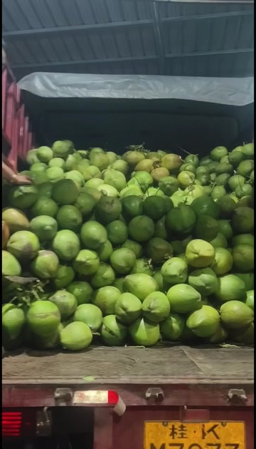 瓊海市我是瓊海源頭椰子批發(fā)的小楊，我有椰子，你看有需要可以聯(lián)系