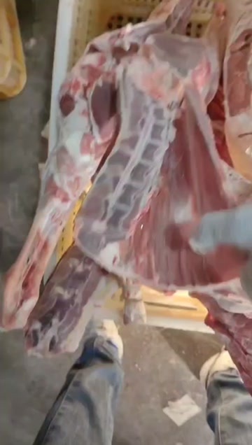 扒皮羊同体 纯干无水，羊腔子羔羊，15一斤，量大便宜，