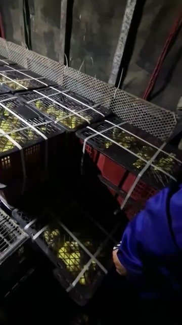 沭阳县货源充足，欢迎各位老板光顾