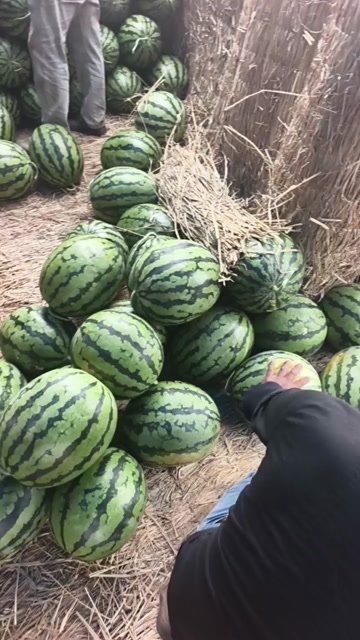 扶绥县甜王